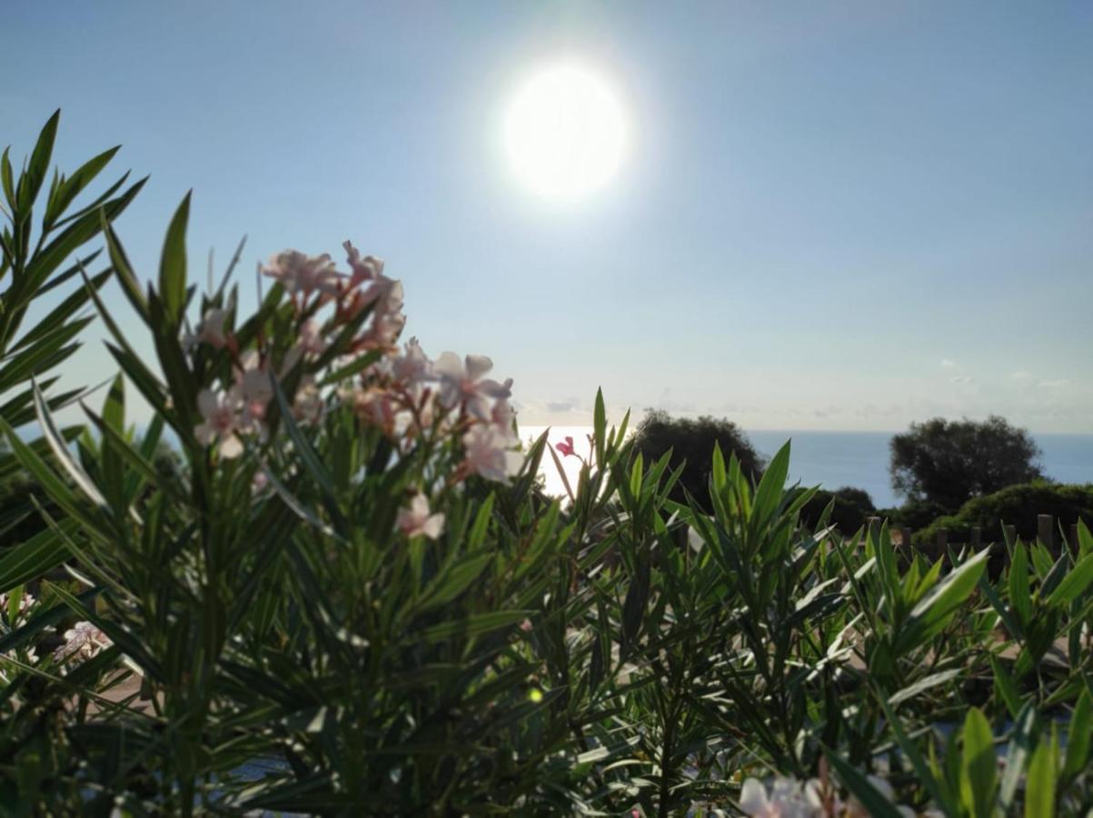 Casa Olivastra Villa Dorgali Buitenkant foto