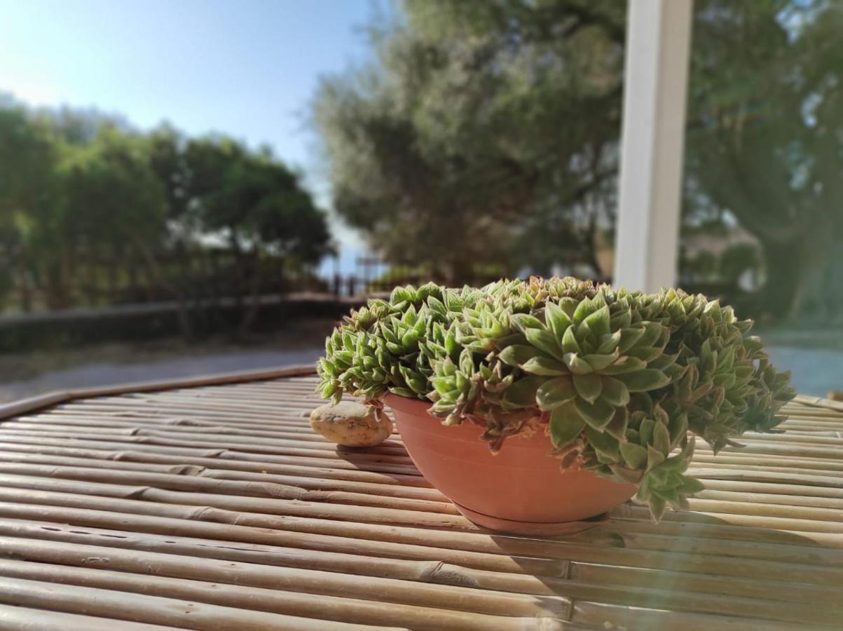 Casa Olivastra Villa Dorgali Buitenkant foto