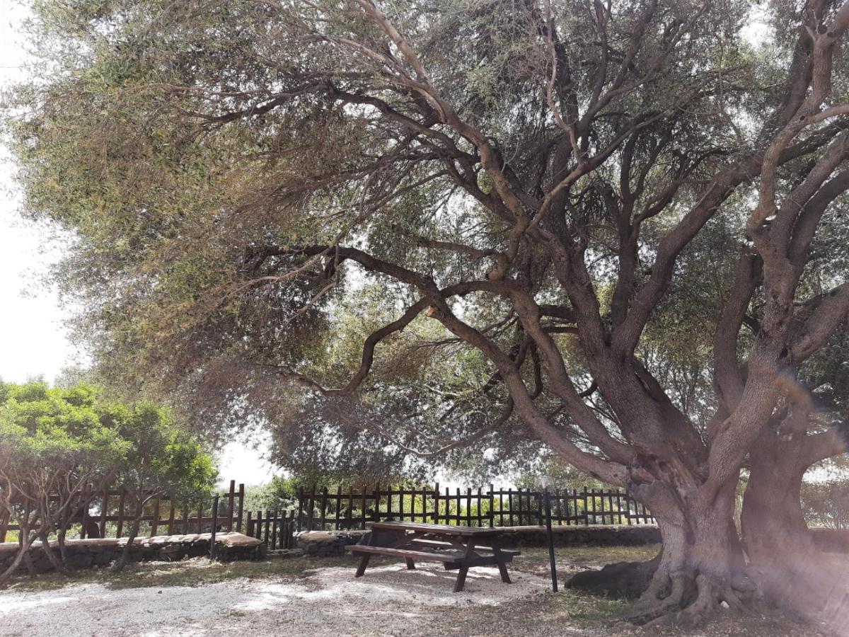 Casa Olivastra Villa Dorgali Buitenkant foto